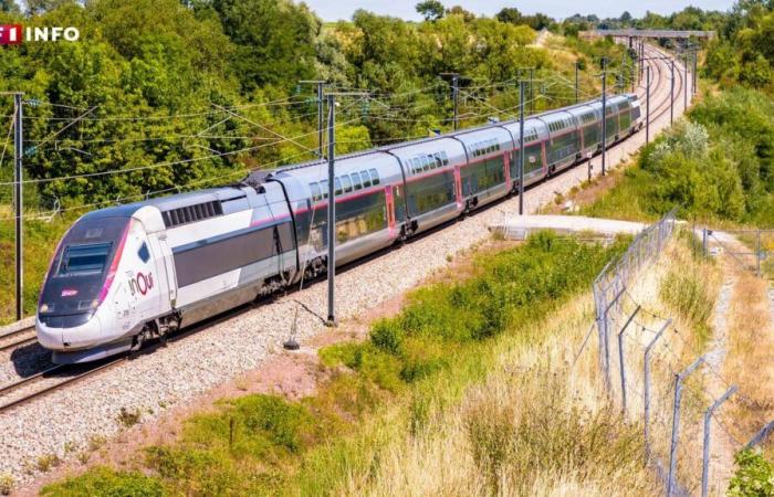 Selbstmord eines SNCF-Lokführers: Wie kam der TGV zum Stehen?