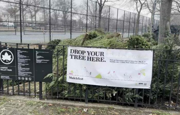 In der ganzen Stadt beginnt das jährliche Mulchfest