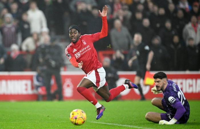 Fantastic Forest beschert Tottenham die neunte Niederlage in 18 Premier-League-Spielen: Fünf Dinge, die wir gelernt haben