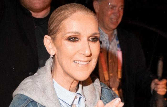 Tour, Alben… Céline Dion bereitet ihre Rückkehr in die vorderste Front vor: News