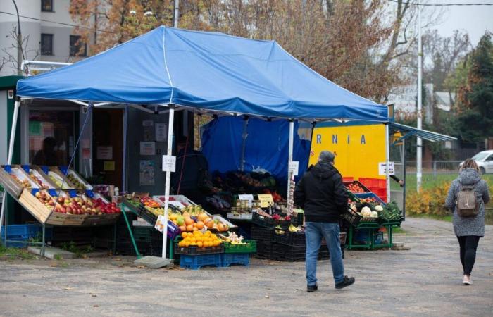 Italienisch ist teurer als Ente. Woher kommen diese Preise?