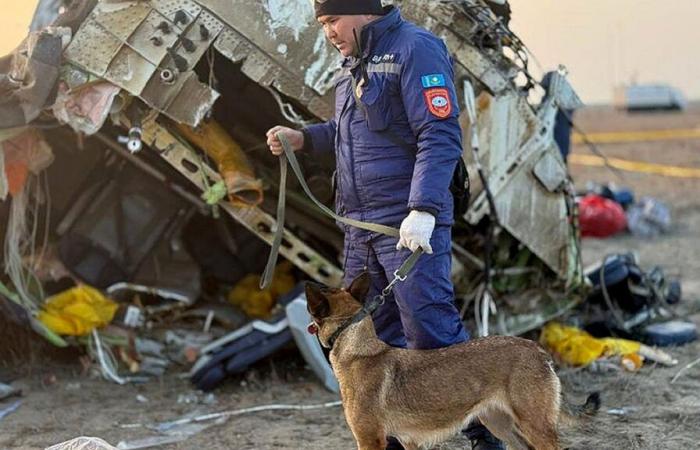 Russische Rakete, Vögel oder Explosion: Welche Versionen des Flugzeugabsturzes werden von Medien und Behörden vertreten?