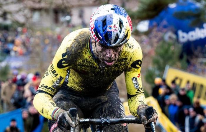 Radfahren. Cyclocross – Wout Van Aert in Diegem am 30.? : „Was auch immer er verlangt, wir werden bezahlen“