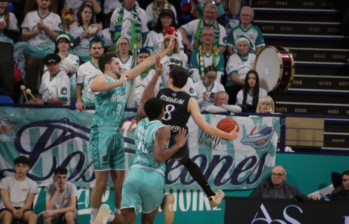 Basketball. Pro B – Elan Béarnais: Die Palois waren großartig