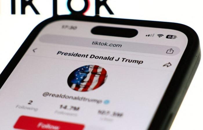 Donald Trump fordert den Obersten Gerichtshof auf, das Gesetz auszusetzen, das TikTok mit einem Verbot droht