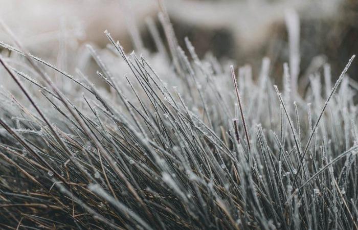 Wetter: -8,2°C, -6,5°C, -5°C… großer Frost in Aveyron an diesem Freitagmorgen, wo war es am kältesten?