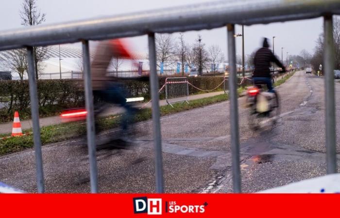 Haley, 18, beim Tretrollerfahren mit einem Freund nach dem Springreiten in Mechelen tödlich angefahren: „Helme müssen Pflicht werden“