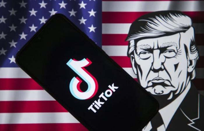 Trump fordert den Obersten Gerichtshof auf, das Gesetz auszusetzen, das mit einem Verbot von TikTok droht