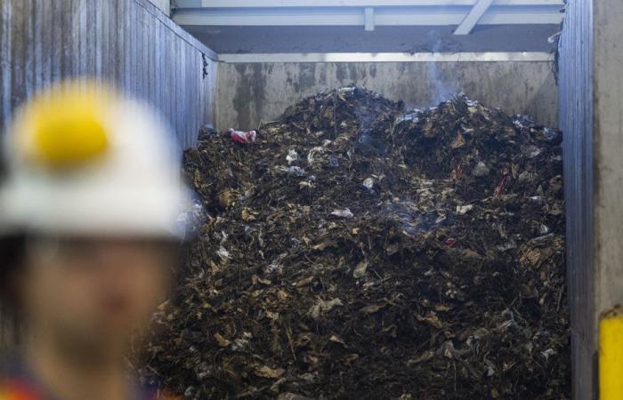 Der Faktor Mensch | Das (gelöste) Rätsel der unkompostierten kompostierbaren Plastiktüten