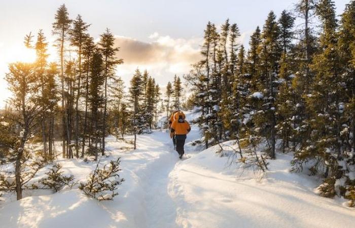 Die ersten Winterkreuzfahrten bald auf dem Sankt-Lorenz-Strom