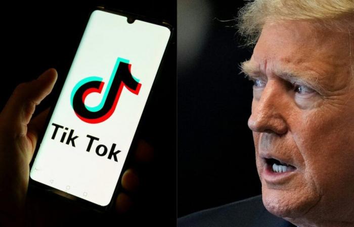 Trump fordert den Obersten Gerichtshof auf, die Verkaufsfrist für TikTok zu verschieben