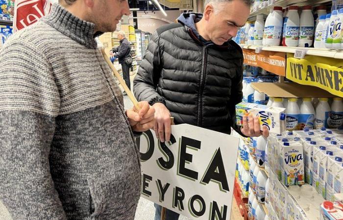 Wut der Landwirte: Die FDSEA und die JA kontrollieren den Preis und die Herkunft von Milchprodukten in Supermärkten im Aveyron