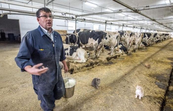 Die Ferienzeit, manchmal „dunkel“ auf Manitobas Feldern