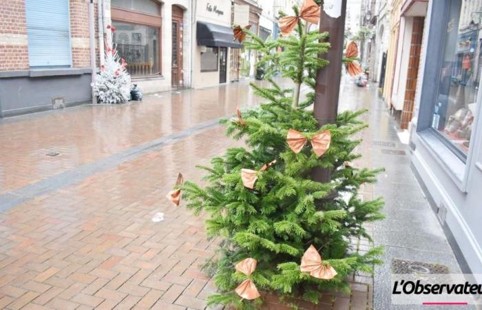 Wie und wo können Sie Ihren Weihnachtsbaum 2024 recyceln?