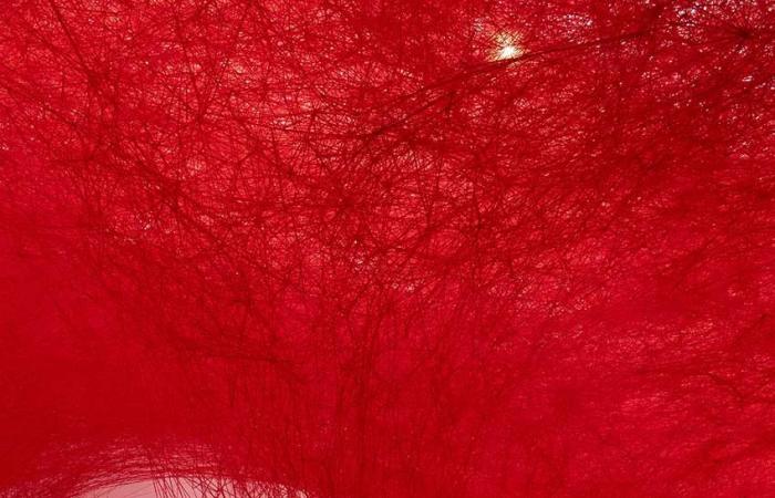 Im Grand Palais bringt Chiharu Shiota unsere Seelen zum Kentern