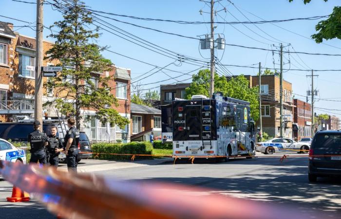 Bericht über Morde in Montreal | Straßengangs im Fadenkreuz