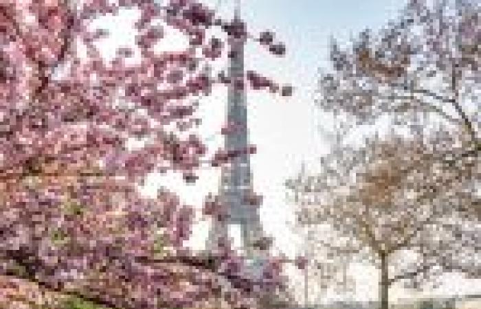 Frühling 2025 in Paris: Ausstellungen an sonnigen Tagen