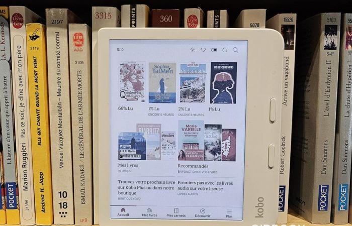 Die besten digitalen Kobo-Lesungen im Jahr 2024 in Frankreich