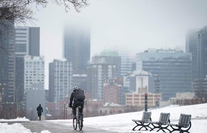 In bestimmten Sektoren Quebecs werden Hitzerekorde erwartet: Der mildeste 30. Dezember in der Geschichte?