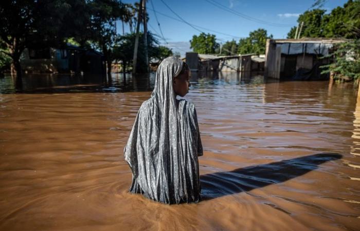 Die globale Erwärmung hat Naturkatastrophen im Jahr 2024 verstärkt