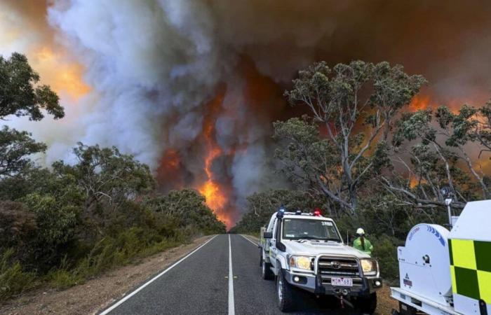 Australien erstickt unter extremer Hitze und massiven Bränden im Südosten