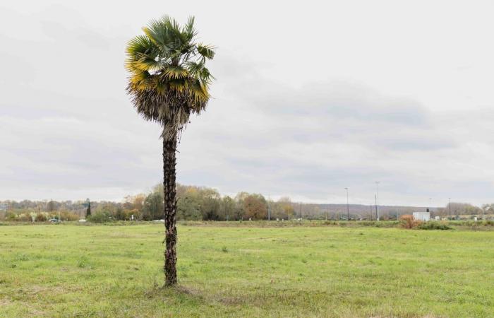 in Blois, einem zerstörten Viertel, das von Überschwemmungen bedroht ist