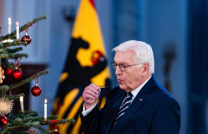 Der deutsche Bundespräsident löst das Parlament auf und setzt Neuwahlen an