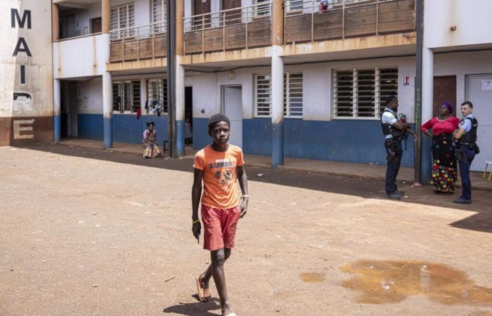 [STRICTEMENT PERSONNEL] Mayotte, Perle umgekehrt