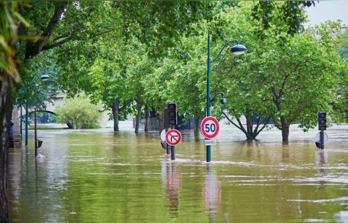 Hurrikane, Überschwemmungen, Brände … Naturkatastrophen verursachten im Jahr 2024 wirtschaftliche Verluste in Höhe von 310 Milliarden US-Dollar