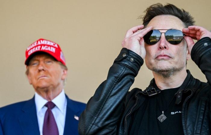 Wird Elon Musk für Donald Trump zum Ärgernis?