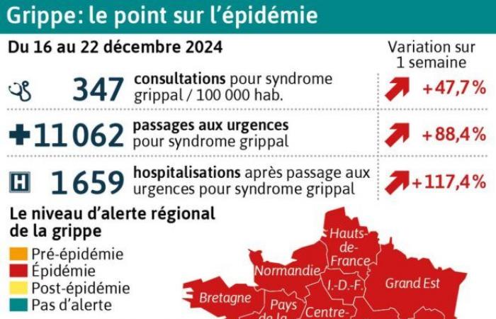 KARTE. Höhepunkt der Grippe- und Bronchiolitis-Epidemie in ganz Frankreich, keine Gastronomie an Silvester