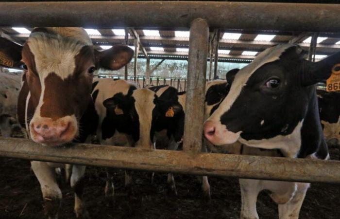 Der Fachbereichsrat unterstützt die Anschaffung von landwirtschaftlichen Kleingeräten