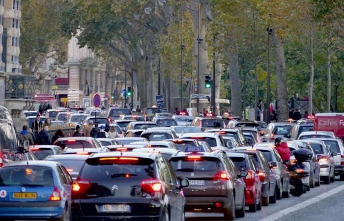 Warum laufen Metropolen bei der Anwendung von EPZs auf Eierschalen?