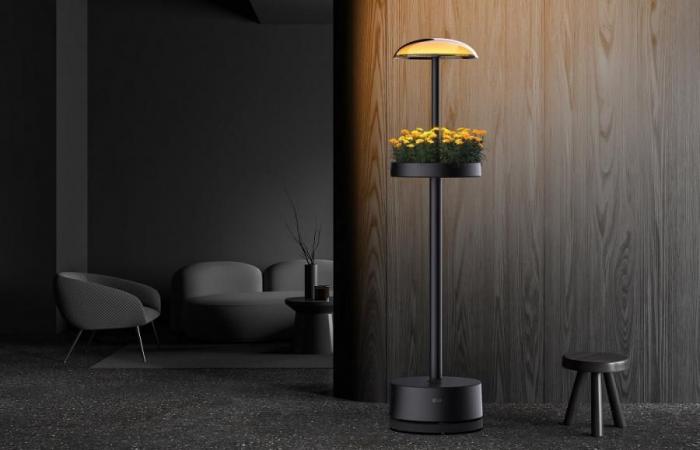 Das neueste Indoor-Gartengerät von LG verfügt über ein erfrischendes neues Design