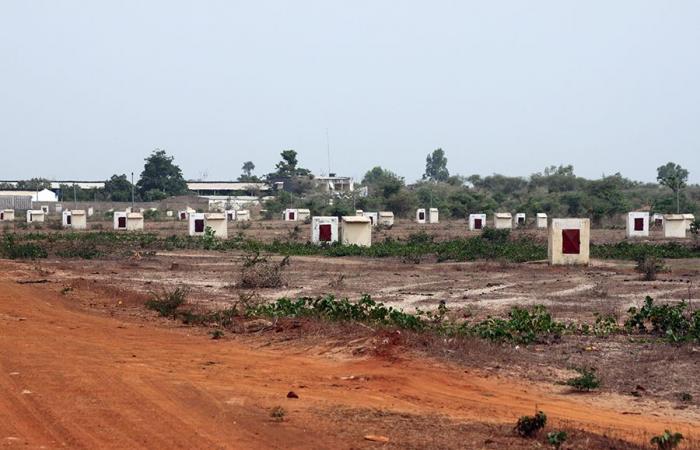 Eine neue Agentur zur Reform der Landbewirtschaftung im Senegal