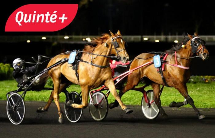 Quoten, Favoriten, Außenseiter des Prix de Nozay in Vincennes