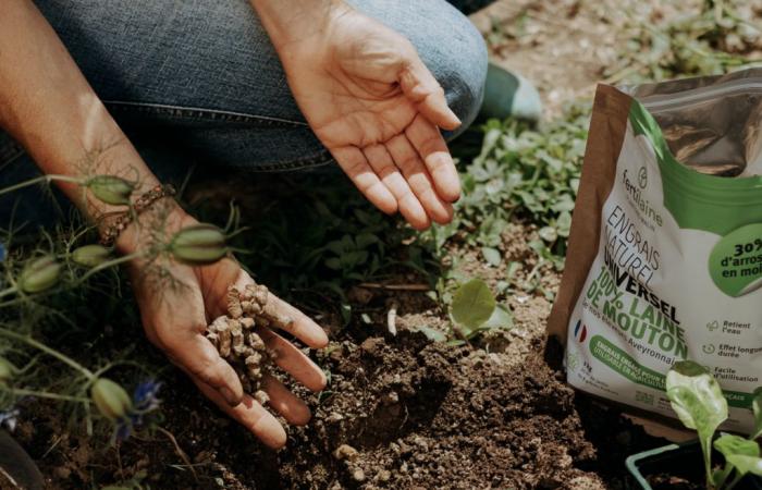 Aveyron. Dieser landwirtschaftliche Betrieb wurde für seine Innovation doppelt gekrönt und ist ein Juwel