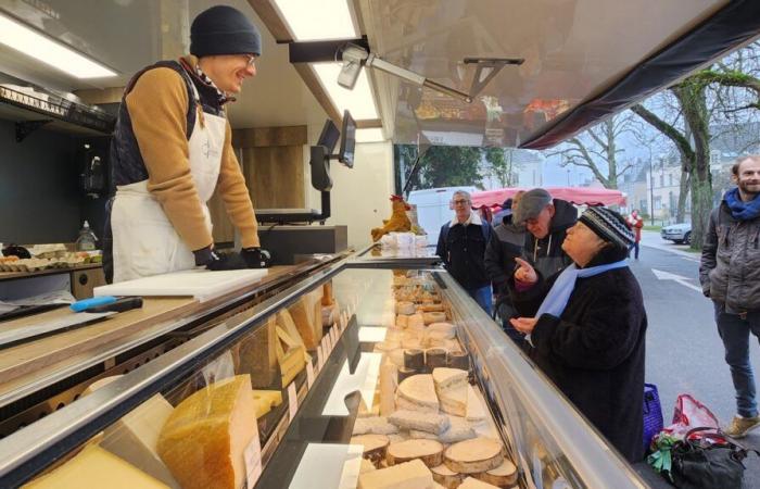 Welches Budget stellen Sie dafür bereit?