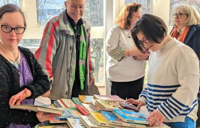 Die Apist Book Donation kehrt zurück und sucht Freiwillige