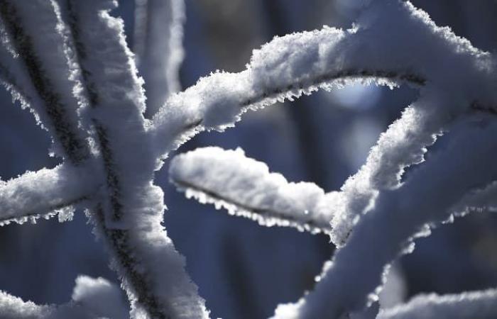 Schneeflocken werden diesen Donnerstag im Haut-Rhin erwartet