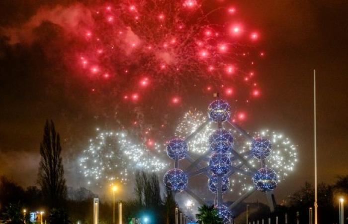 50.000 Zuschauer versammelten sich in Brüssel zum Neujahrsfeuerwerk: Bilder einer „wunderbaren“ Show