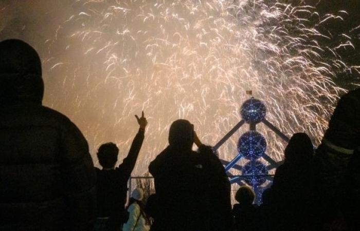 50.000 Zuschauer versammelten sich in Brüssel zum Neujahrsfeuerwerk: Bilder einer „wunderbaren“ Show