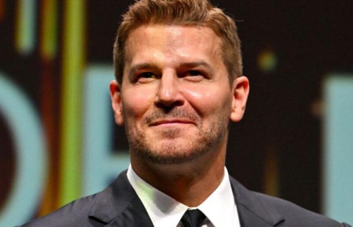 David Boreanaz verrät seinen Lieblingscharakter in seiner Karriere