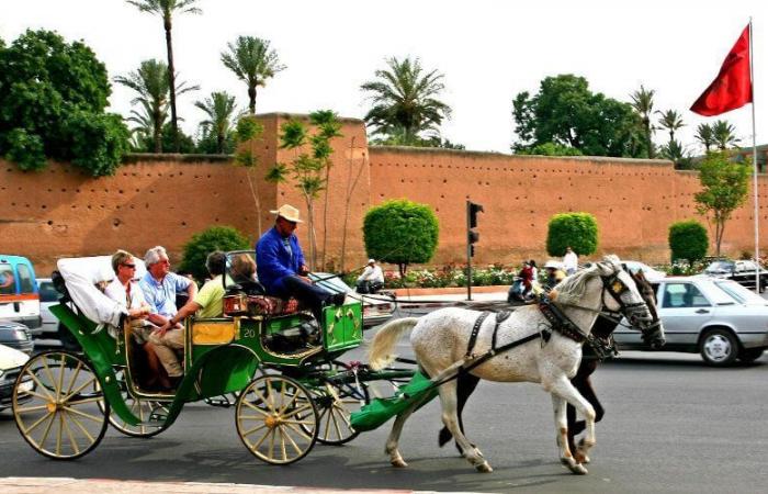 Auf dem Platz Djemaa El-Fna dürfen keine Kutschen fahren