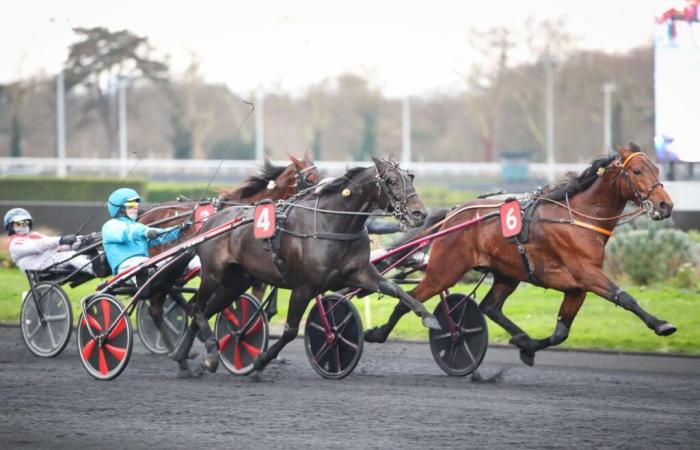 Mittwoch, 1. Januar 2025 – Dominik-Cordeau-Preis: Jabalpur erhielt 3/3!