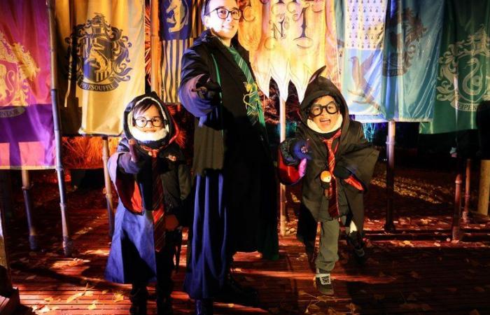 „Expecto patronum“: Verkleidet oder nicht, Harry-Potter-Fans strömen nach Montauban, um ein einzigartiges Erlebnis zu genießen