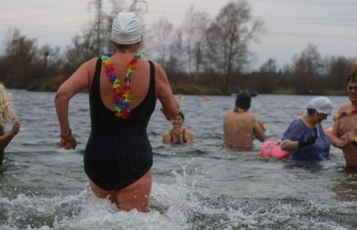 “Invigorating” or just “stupid”, bathing in water at 5°C brings together the frosty people of the Oise for the New Year