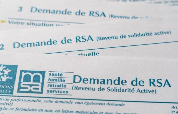 Was Sie über die RSA-Reform wissen müssen, verallgemeinert ab dem 1. Januar 2025