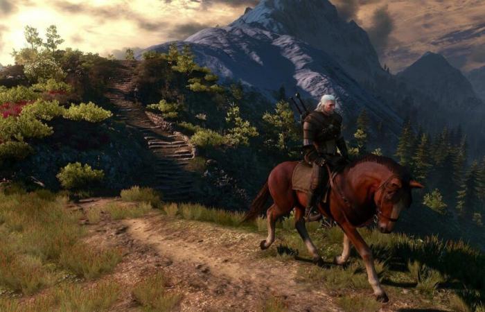 Interaktive Karte von The Witcher 3: Welche solltest du wählen?