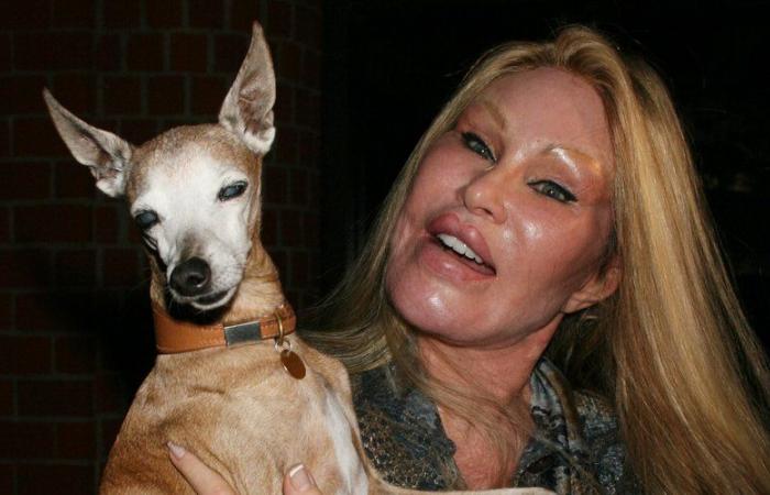 Jocelyne Wildenstein, auch „Katzenfrau“ genannt und für ihre zahlreichen Schönheitsoperationen bekannt, ist tot